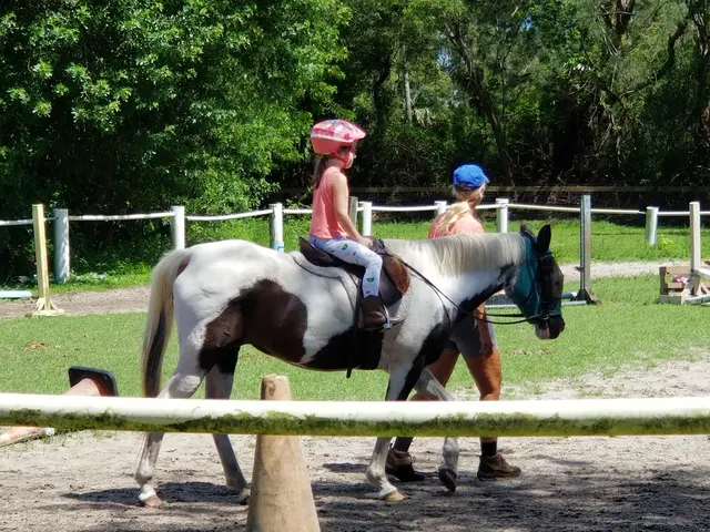 La Petite Cheval Farm — customer photo 2