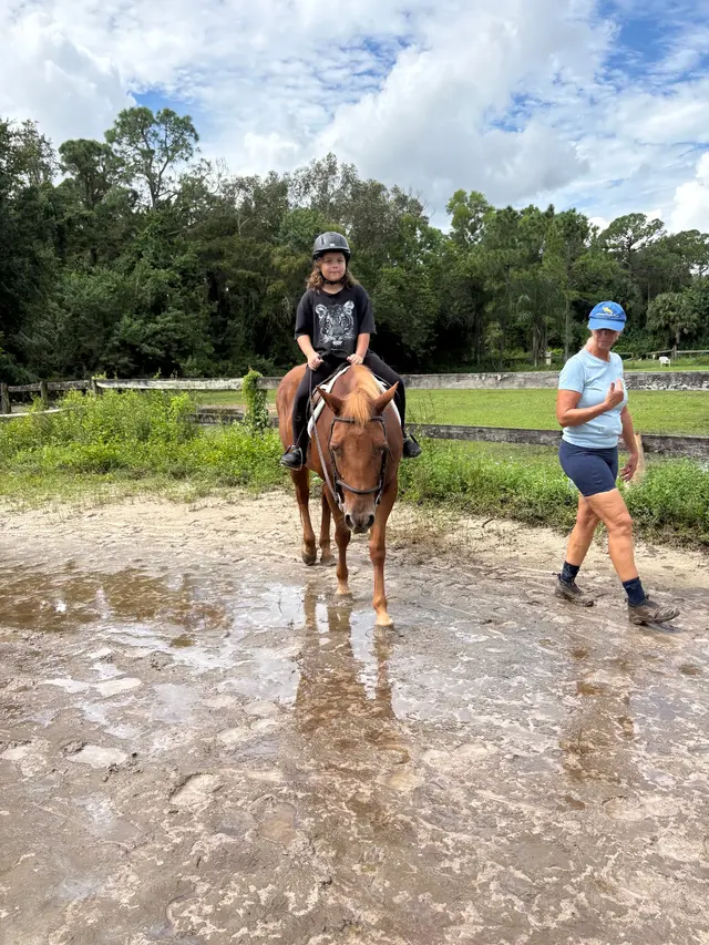 Customer photo of work by La Petite Cheval Farm, from Deanna Dalton's review