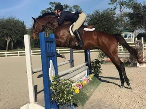 La Petite Cheval Farm — photo from the business 1