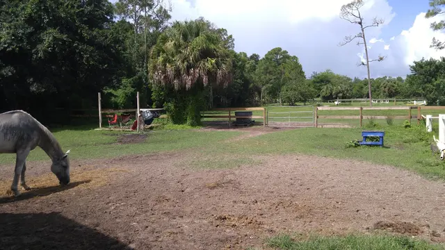 La Petite Cheval Farm — customer photo 12