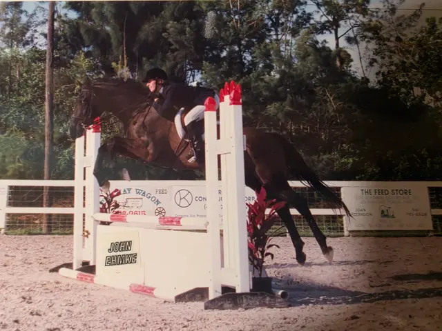 La Petite Cheval Farm — photo from the business 10