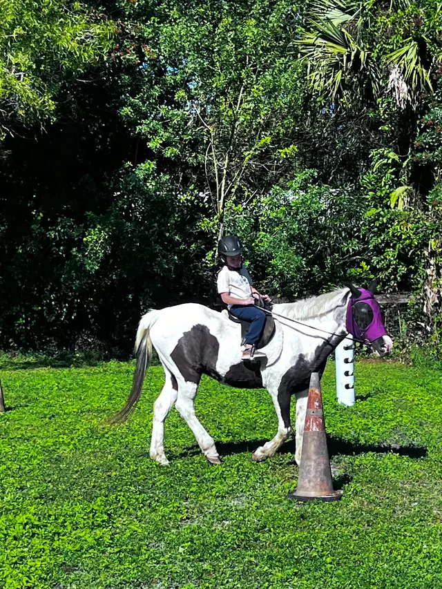 La Petite Cheval Farm — customer photo 8