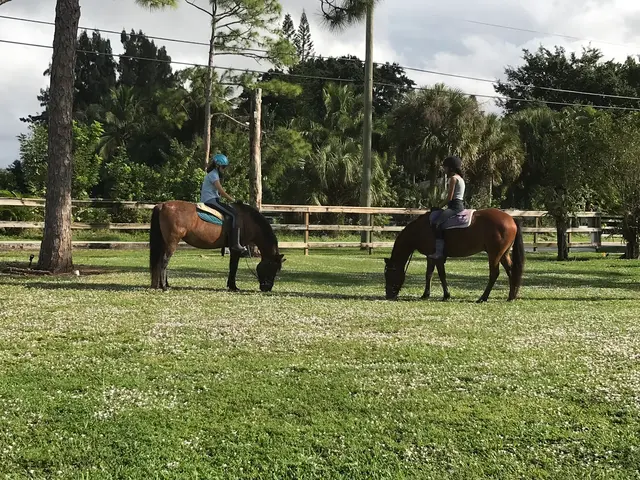 Coral Reef Riding Academy (New Spirit Farm) — customer photo 4