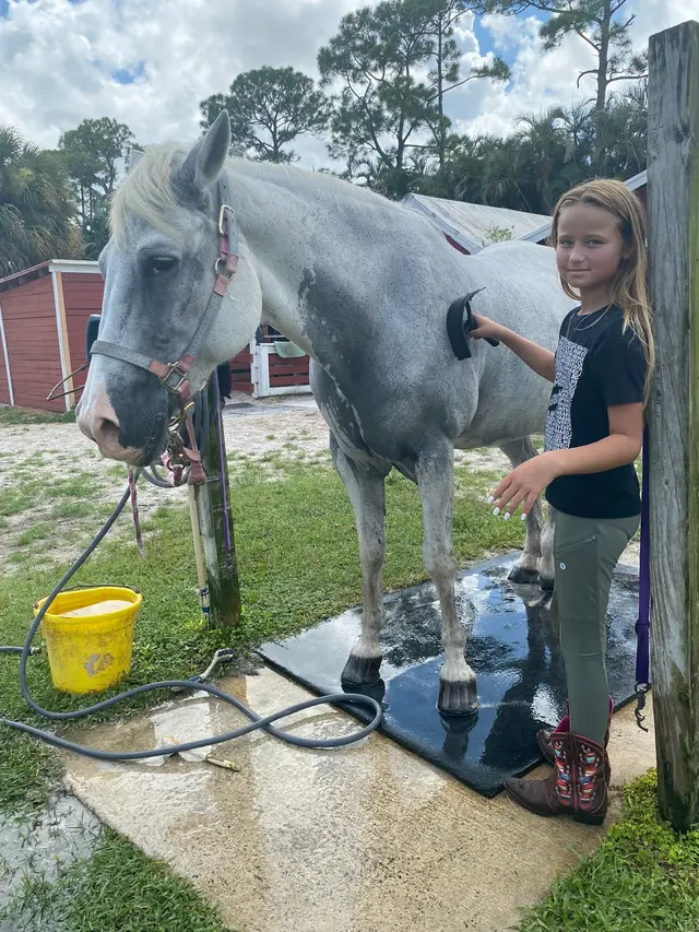 Coral Reef Riding Academy (New Spirit Farm) — customer photo 8