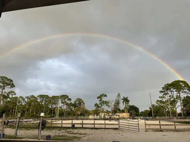 Coral Reef Riding Academy (New Spirit Farm) — customer photo 9