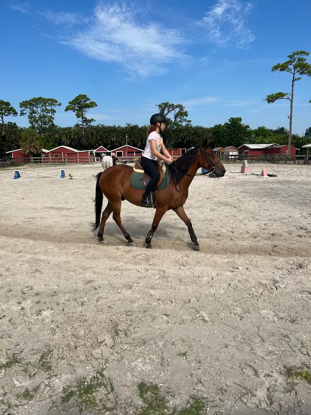Coral Reef Riding Academy (New Spirit Farm) — customer photo 1