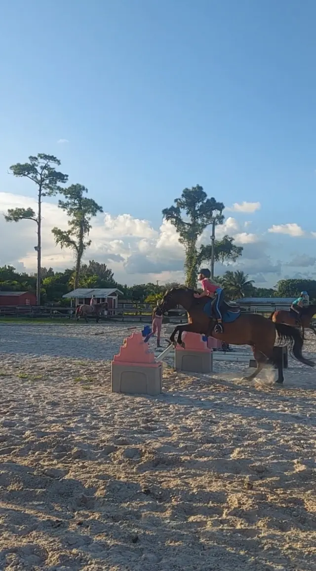 Coral Reef Riding Academy (New Spirit Farm) — customer photo 7
