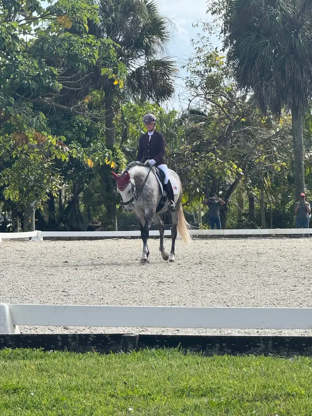 White Fences — customer photo 8