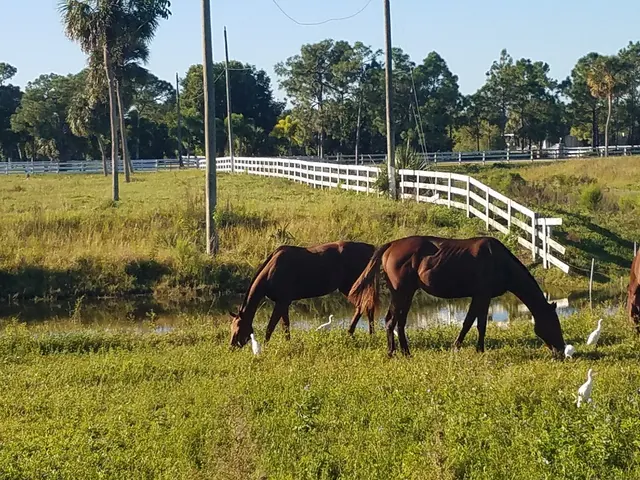 White Fences — customer photo 2