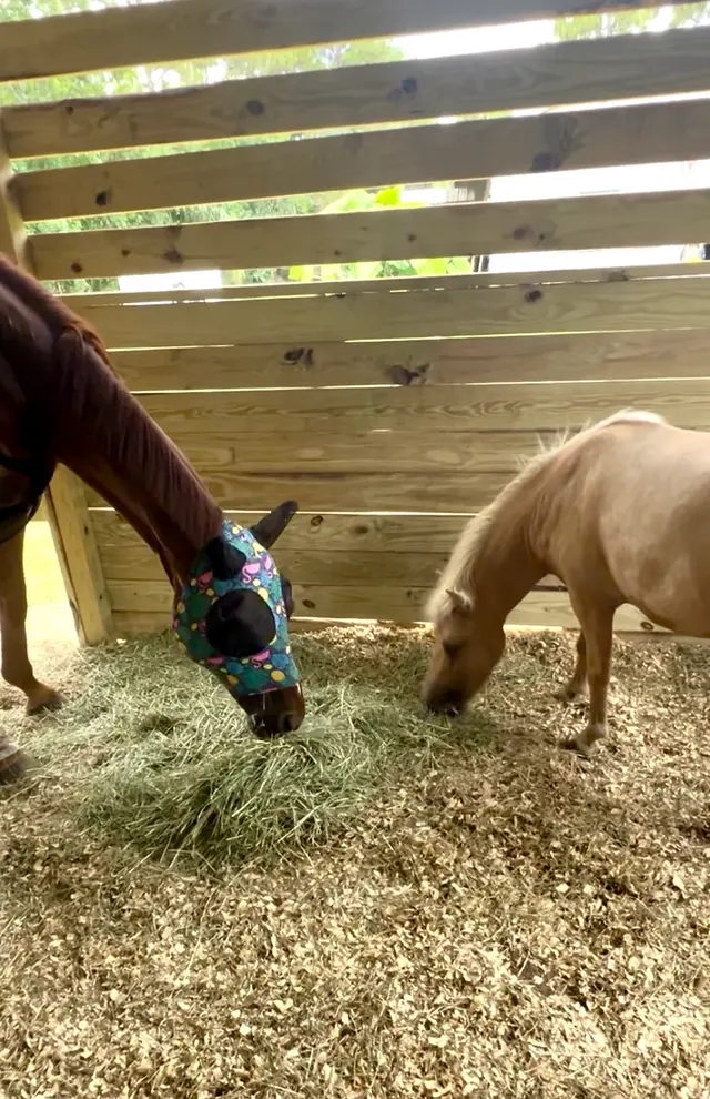 Customer photo of work by Kings Stables, from Emily Eubanks's review