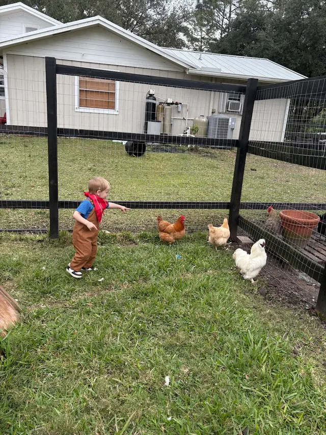Kings Stables — customer photo 12