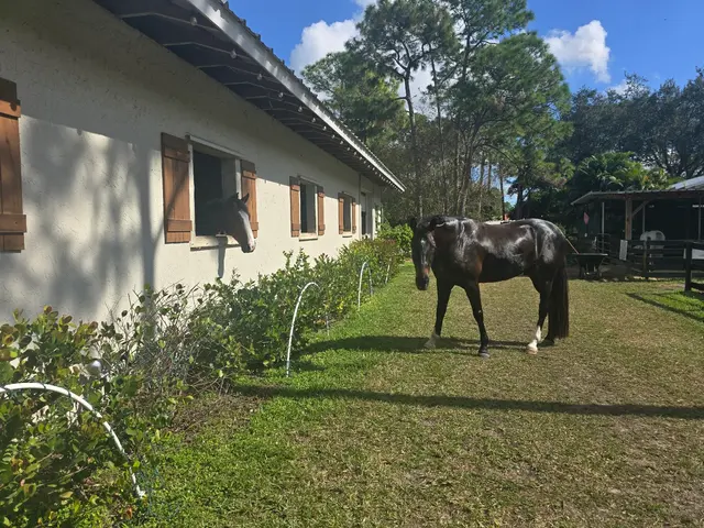 Customer photo of work by Kings Stables, from Jessica Earl's review