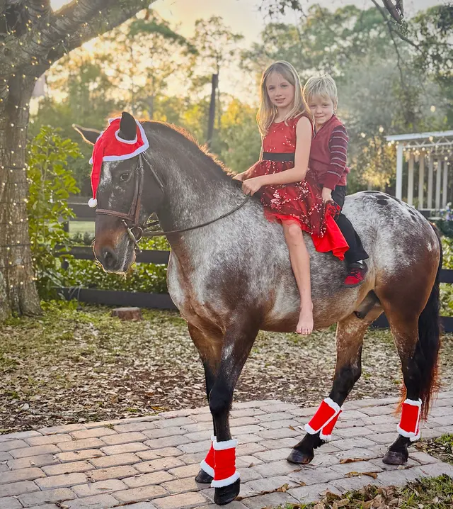 Kings Stables — customer photo 10