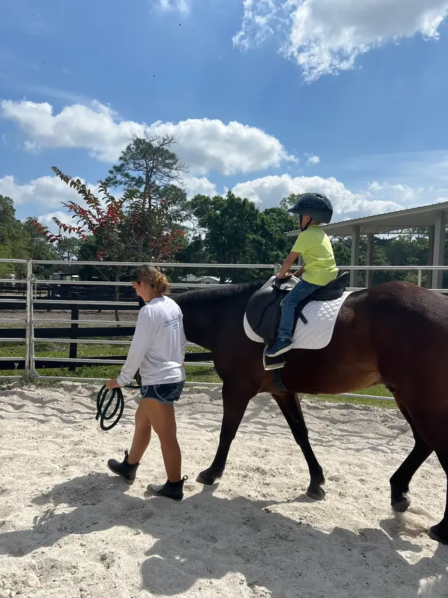Kings Stables — customer photo 9