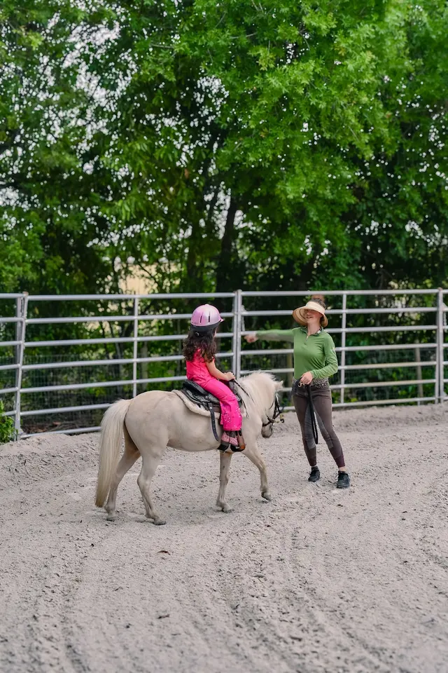 Kings Stables — customer photo 8