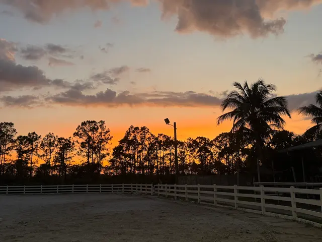 Desert Rose Ranch — customer photo 3
