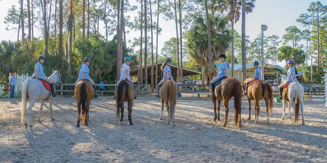 Casperey Stables — photo from the business 1