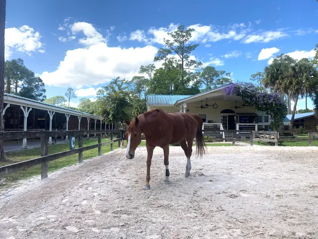 Casperey Stables — customer photo 2
