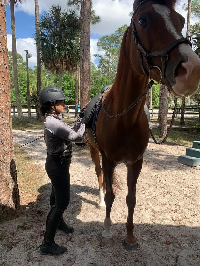 Casperey Stables — customer photo 12