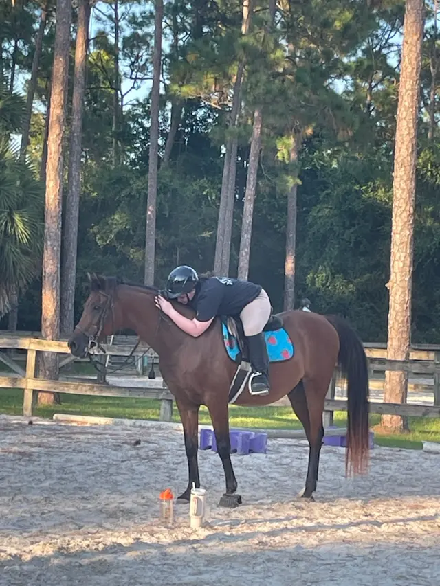 Casperey Stables — customer photo 11