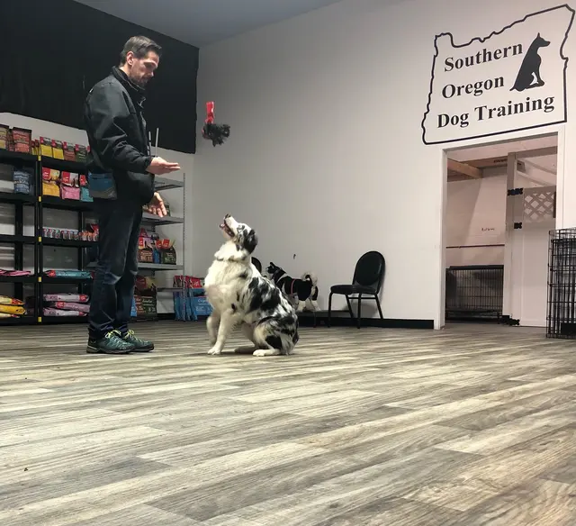 Southern Oregon Dog Training — customer photo 6