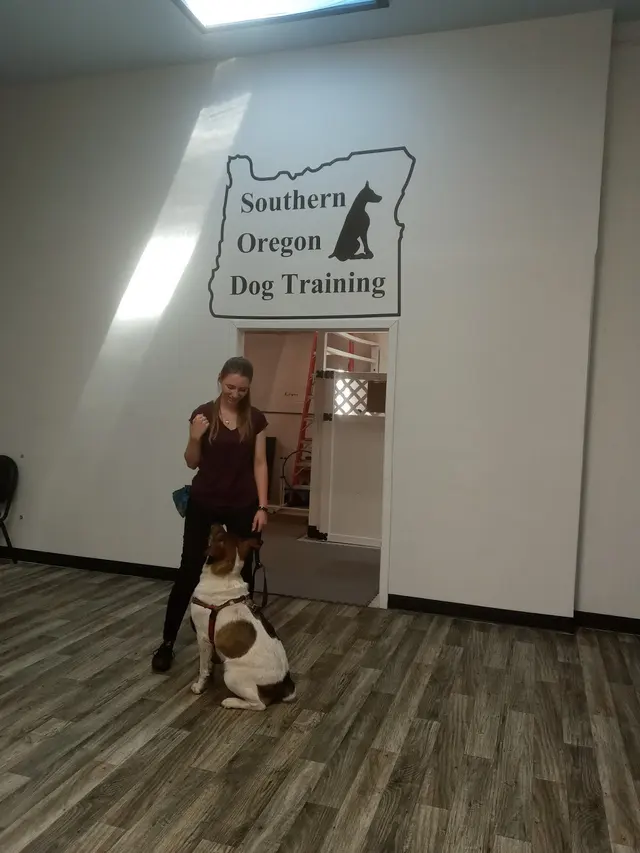 Southern Oregon Dog Training — customer photo 7