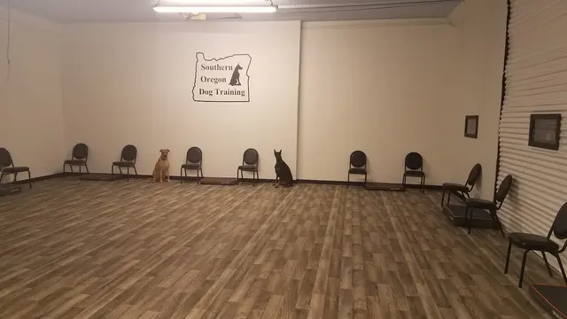 Southern Oregon Dog Training — photo from the business 11