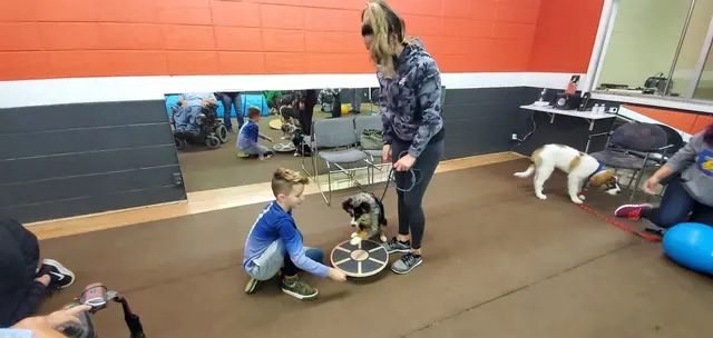 Prodogz Professional Dog Training — photo from the business 8
