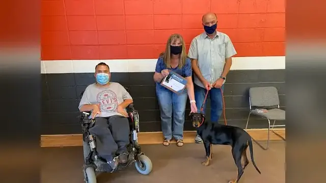 Prodogz Professional Dog Training — customer photo 1