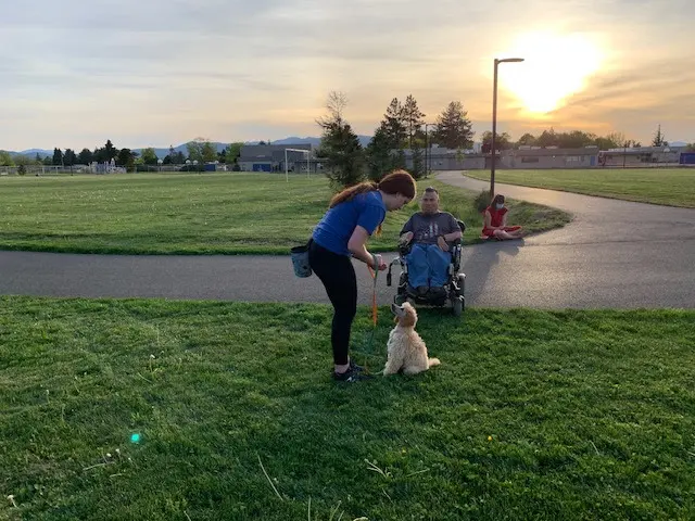 Prodogz Professional Dog Training — photo from the business 2