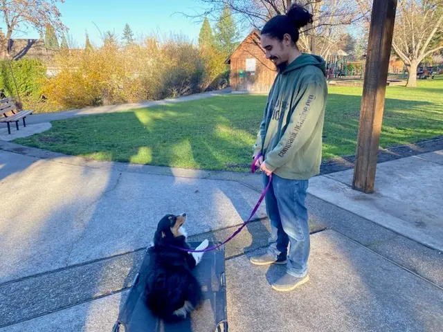 Companion Canine Dog Training — photo from the business 10
