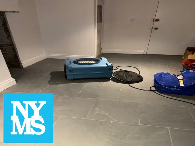 New York Mold Specialist — photo from the business 4