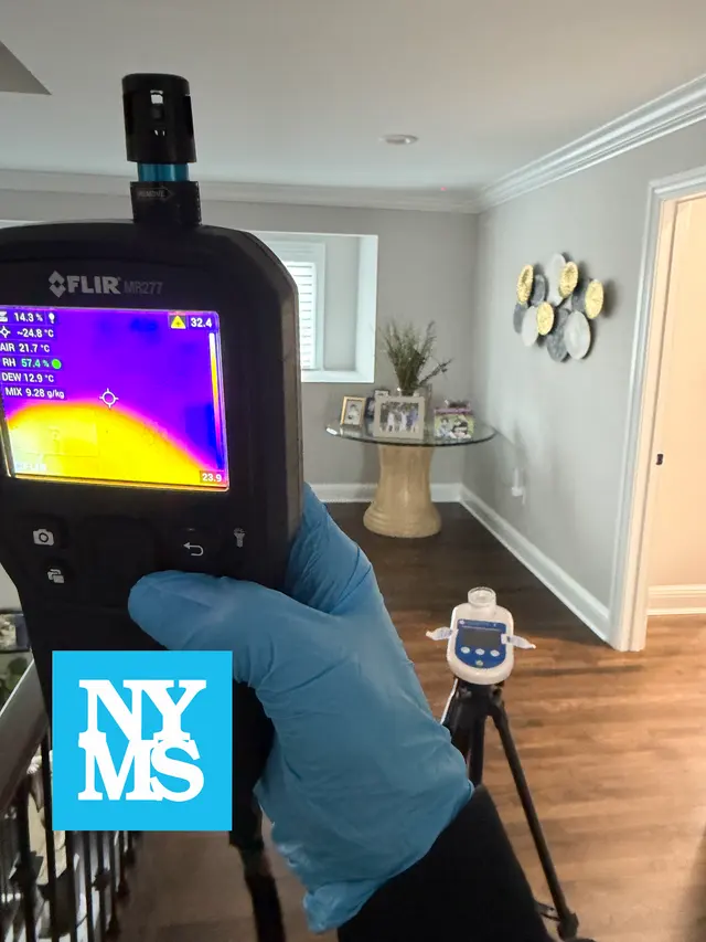 New York Mold Specialist — photo from the business 2