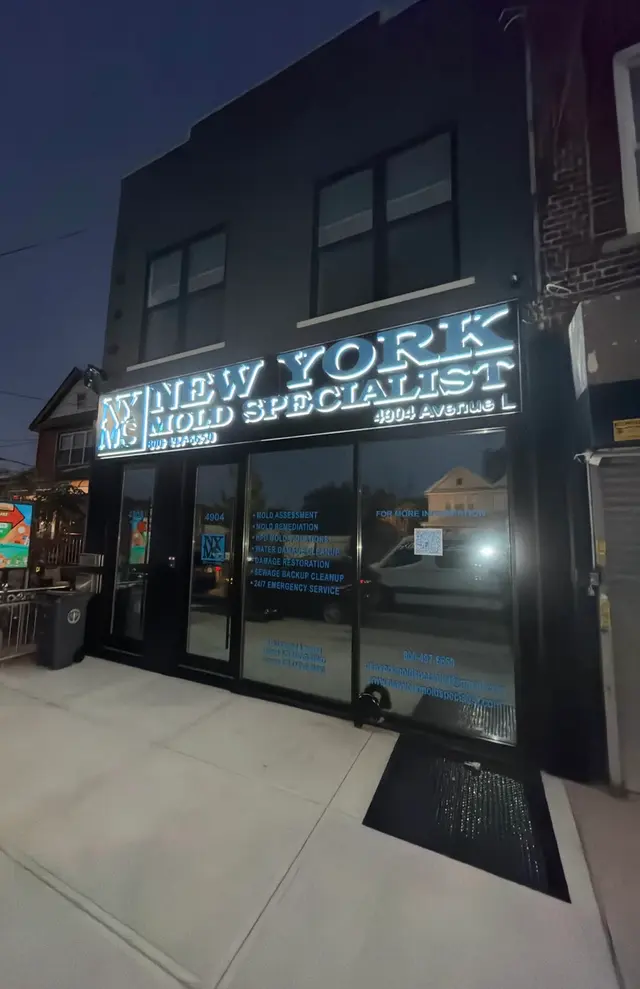 New York Mold Specialist — photo from the business 5