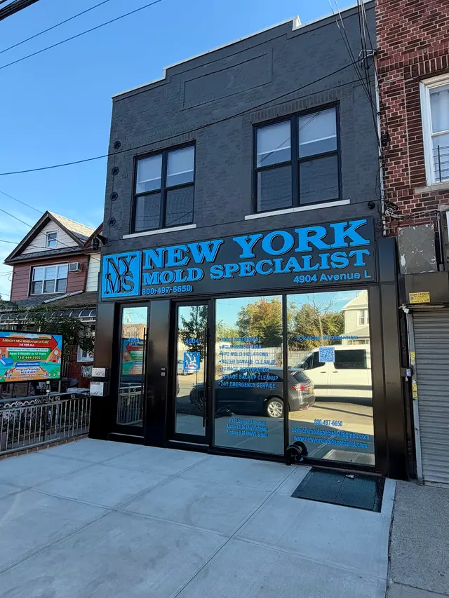 New York Mold Specialist — photo from the business 1