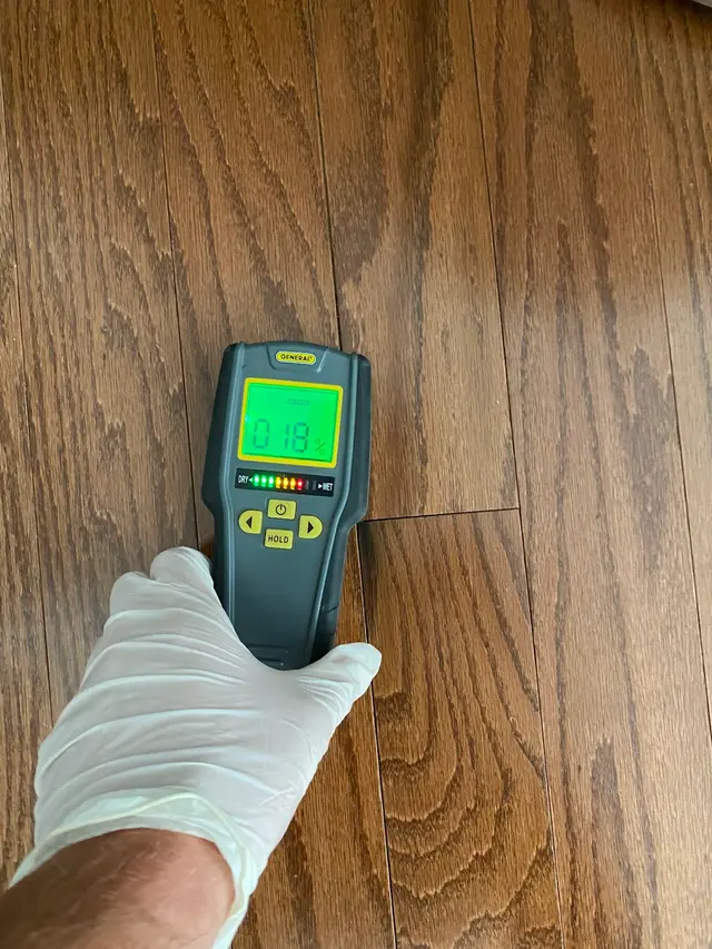 New York Mold Specialist — photo from the business 6