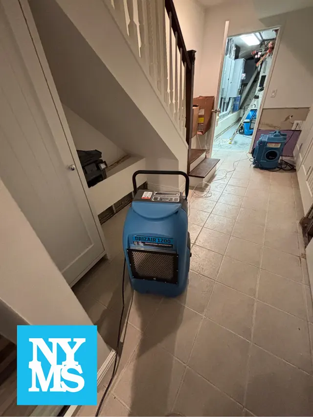 New York Mold Specialist — photo from the business 3
