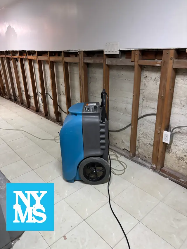 New York Mold Specialist — photo from the business 8