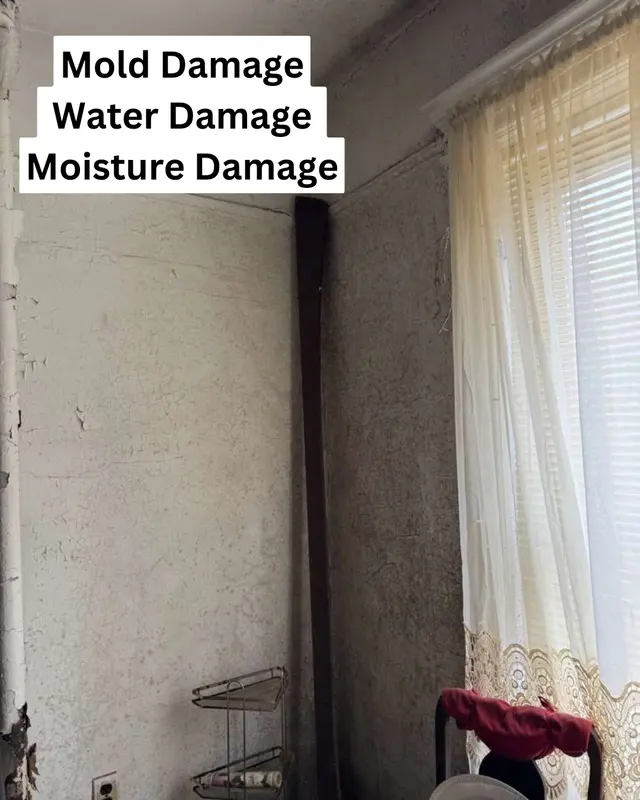 ABC Environmental LLC — photo from the business 2
