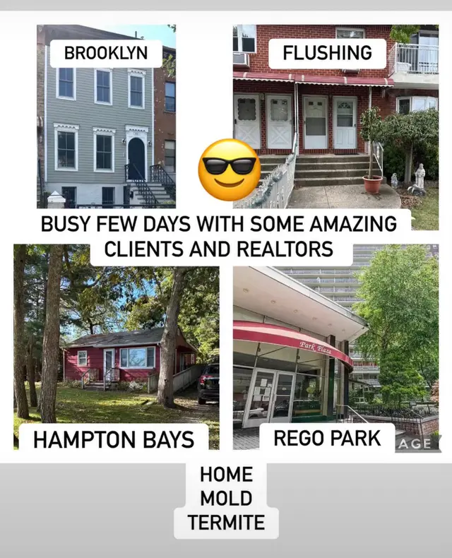 New York House Inspectors — photo from the business 6