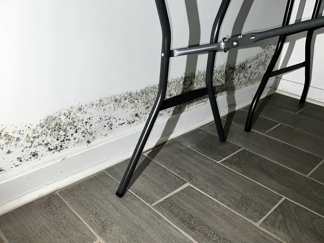 HNST Environmental — photo from the business 4