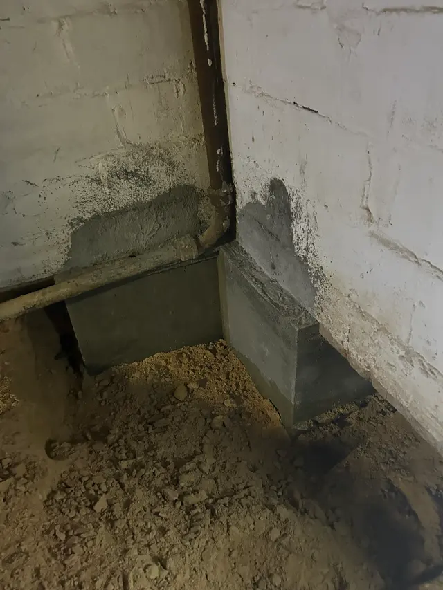 Basement Gurus — customer photo 11