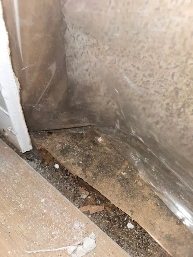 Basement Gurus — photo from the business 1