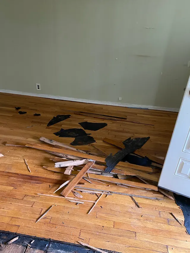 Apex Mold Specialists — photo from the business 11