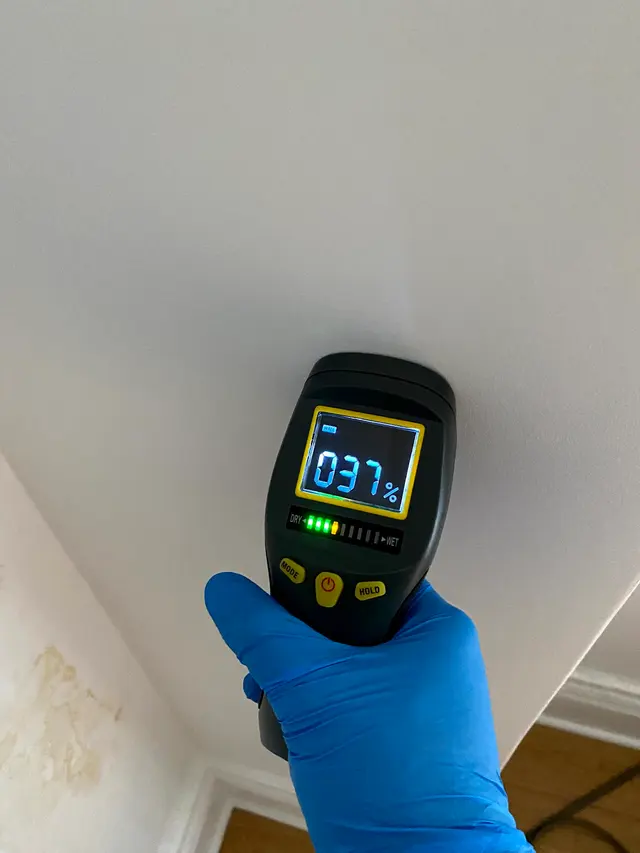 Apex Mold Specialists — photo from the business 4