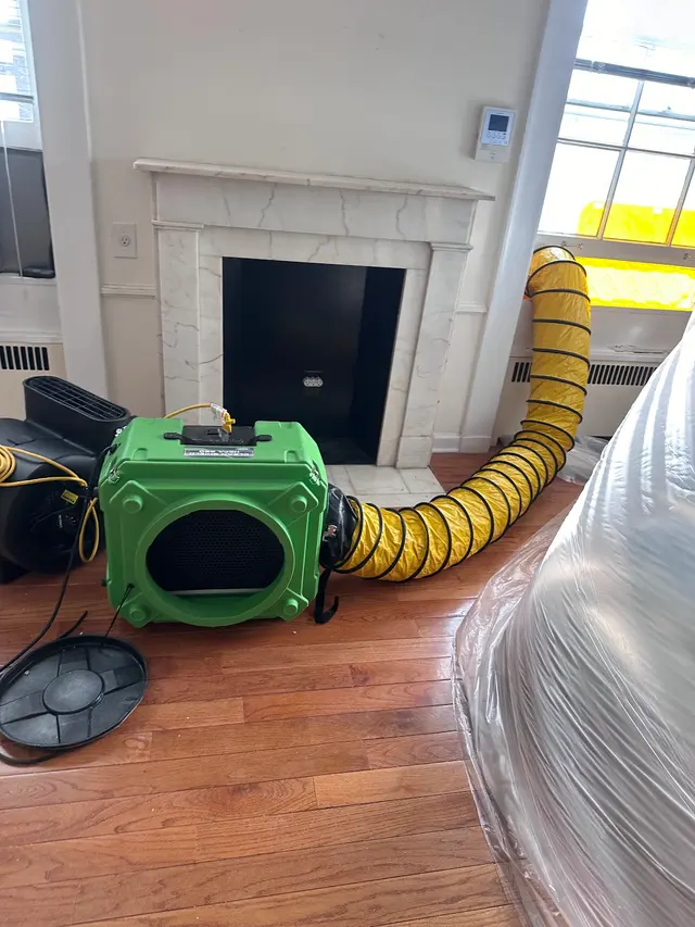 Apex Mold Specialists — photo from the business 6