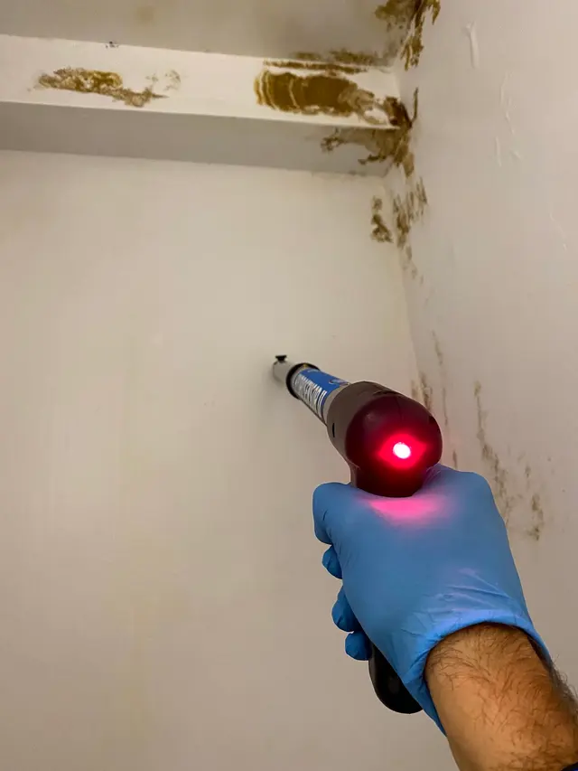 Apex Mold Specialists — photo from the business 9