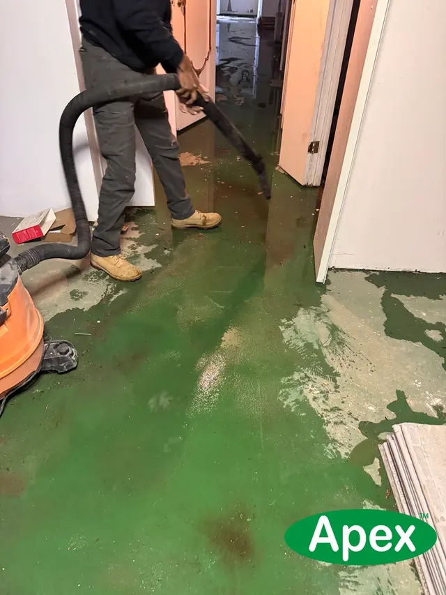 Apex Mold Specialists — photo from the business 12