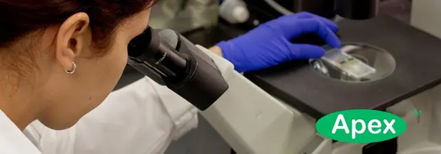 Apex Mold Specialists — photo from the business 1