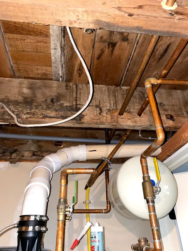 Apex Mold Specialists — photo from the business 7